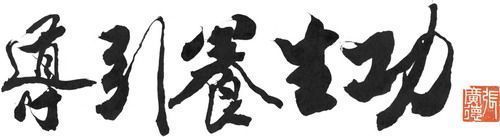 daoyin yangsheng gong