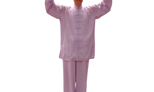 Daoyin Yangsheng Gong para el Sistema Inmune